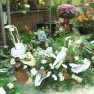 cvecara-ikebana-becej